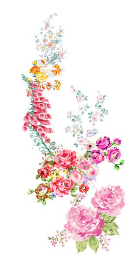花朵素材