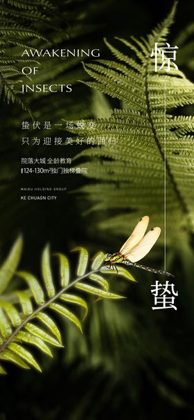 惊蛰二十四节气7