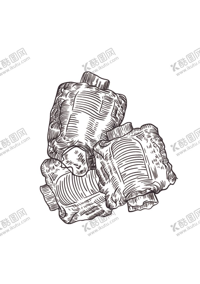编号：65626001170404026666【酷图网】源文件下载-矢量手工画排骨