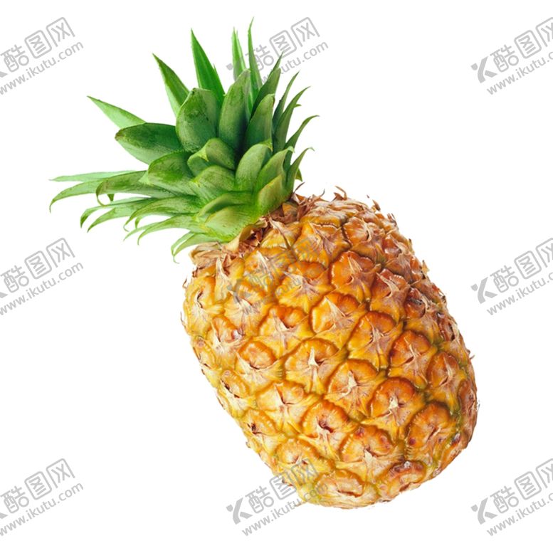 编号：74786507030334282787【酷图网】源文件下载-菠萝