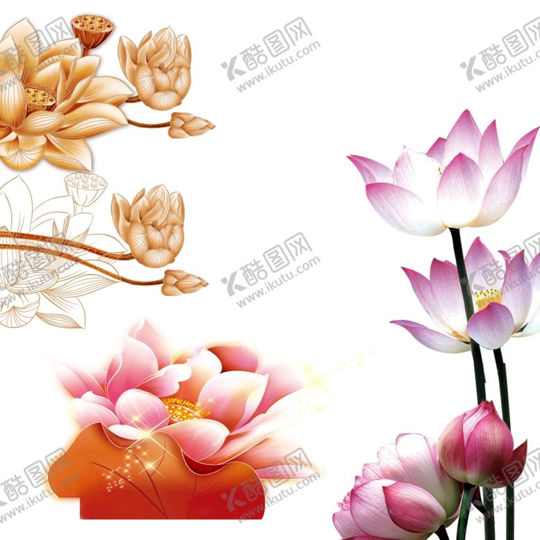 编号：17804810261519406144【酷图网】源文件下载-荷花