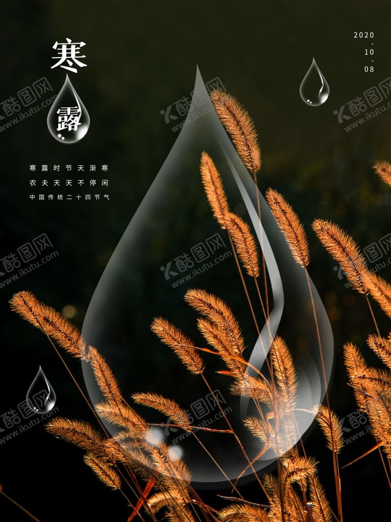 编号：86200909230418307204【酷图网】源文件下载-白露海报