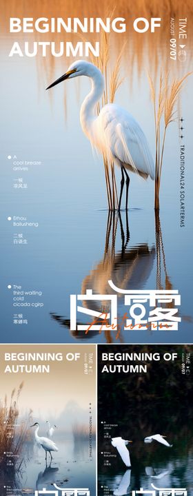地产白露节气景色系列海报