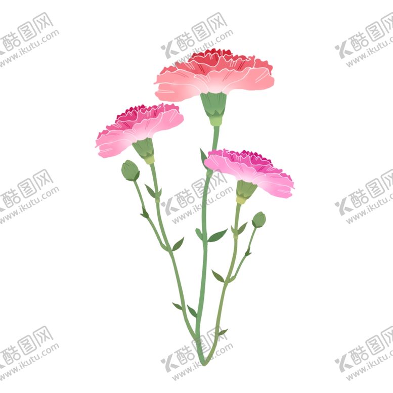编号：82030110091135143845【酷图网】源文件下载-手绘康乃馨