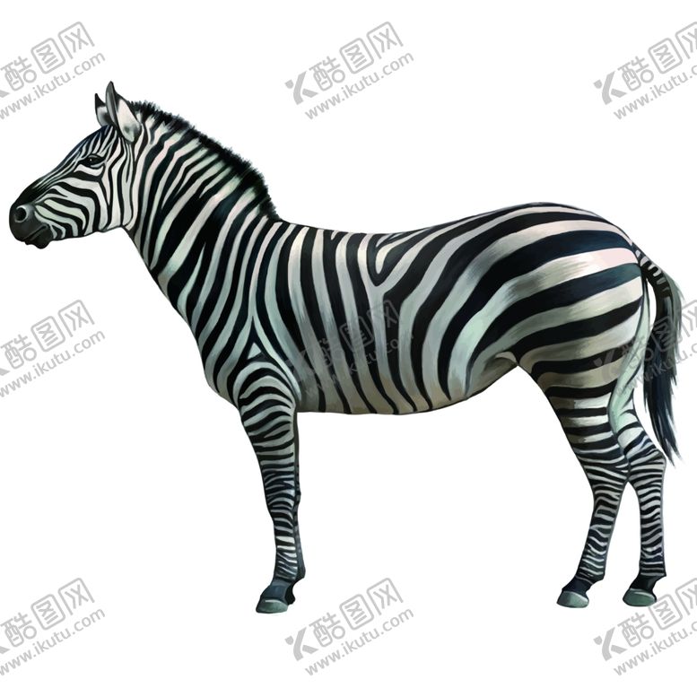 编号：87619911011626242978【酷图网】源文件下载-斑马