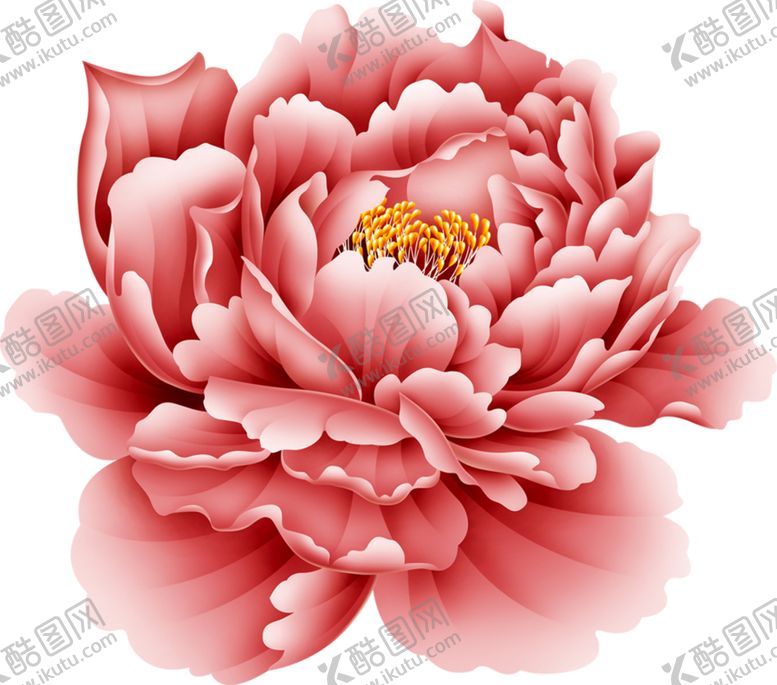 编号：69354009290915423698【酷图网】源文件下载-牡丹花
