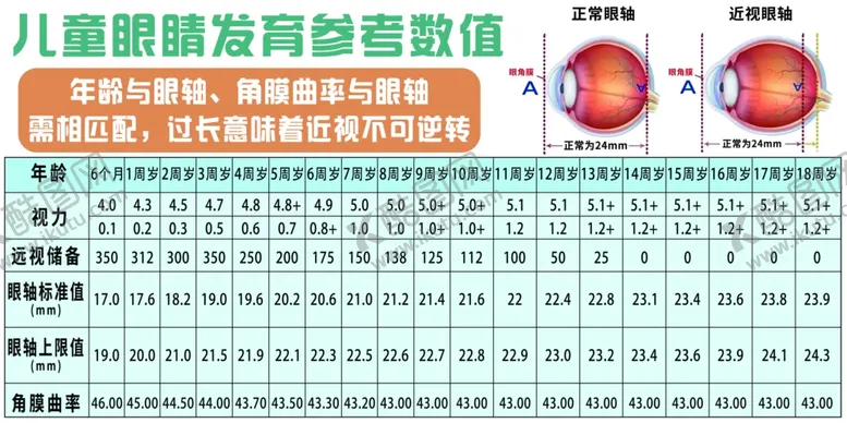 编号：13858502240418206957【酷图网】源文件下载-儿童眼睛发育参考数值