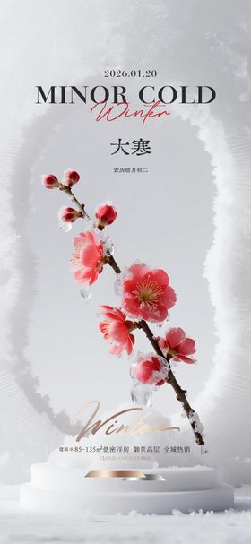 地产大寒质感节气海报