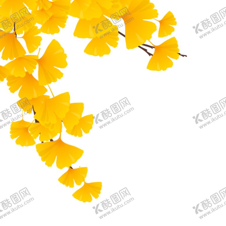 编号：41778806290858203660【酷图网】源文件下载-银杏叶