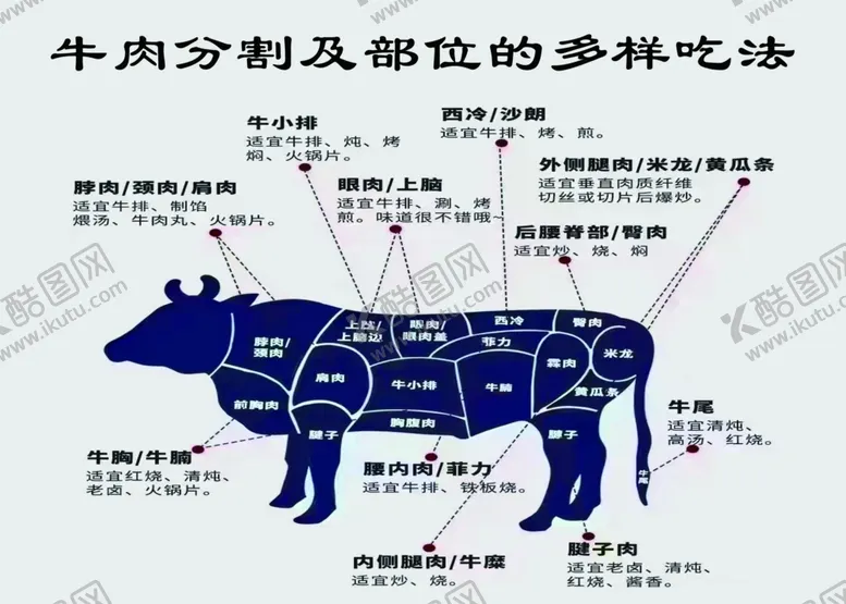 编号：10825011301816265617【酷图网】源文件下载-牛肉部位图