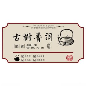 树插画普洱茶茶