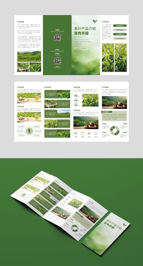 茶品类折页设计