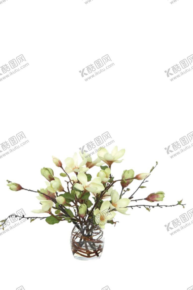 编号：75377506231903449709【酷图网】源文件下载-免抠背景花草树木