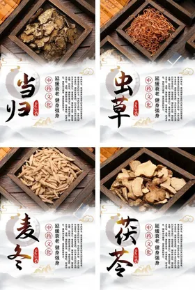 中式中医中药药材宣传系列海报