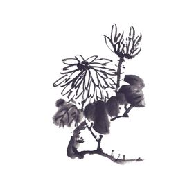 菊花装饰