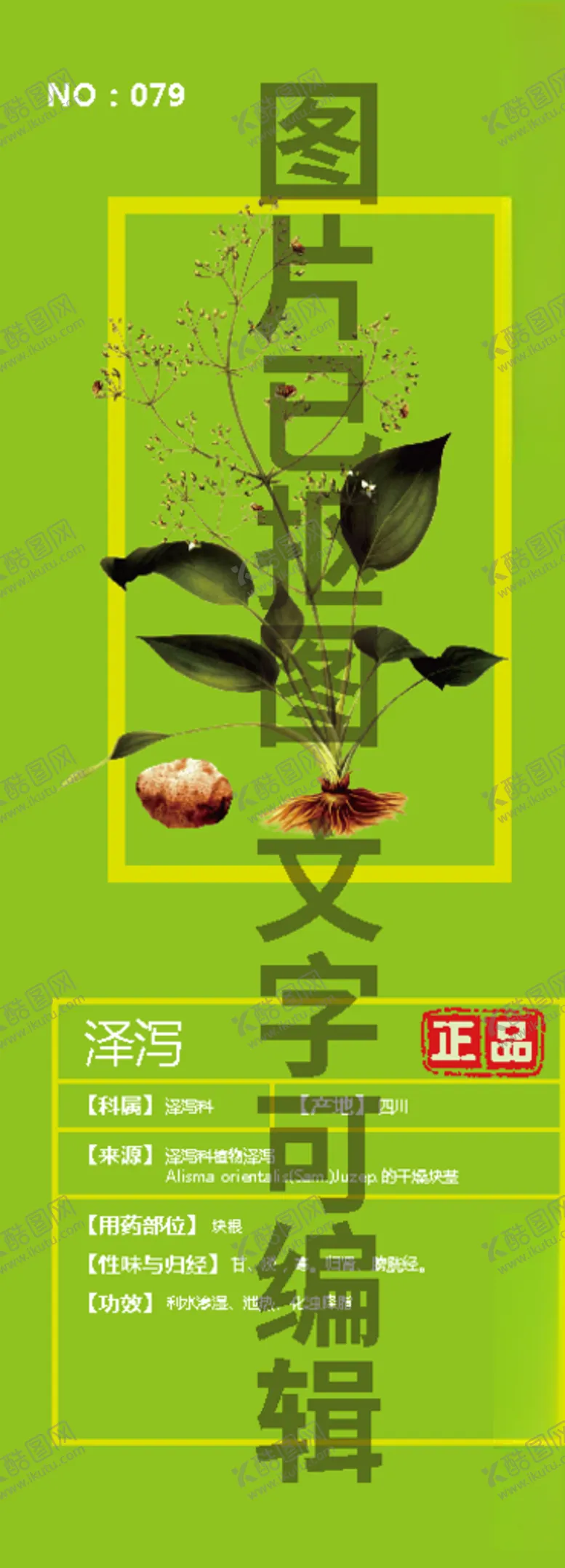 编号：50781204070741329991【酷图网】源文件下载-泽泻