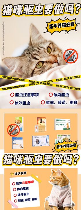 猫驱虫宠物知识科普系列图