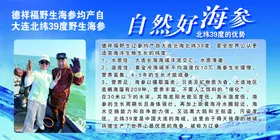 海参