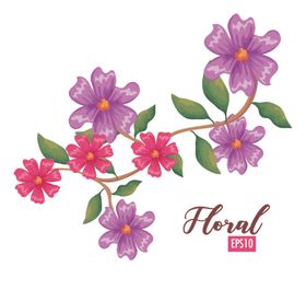 手绘鲜花