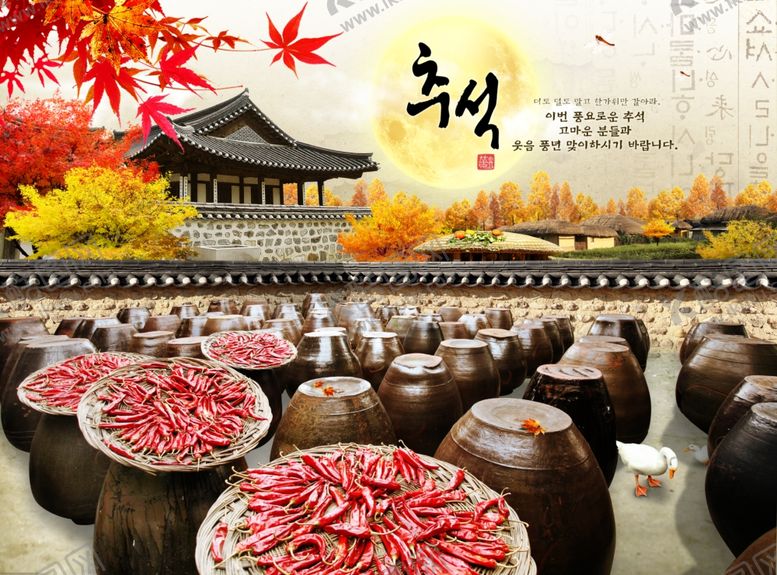 编号：30520102031009245474【酷图网】源文件下载-韩国泡菜素材
