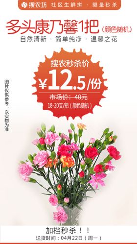 多头康乃馨1把颜色随机秒杀