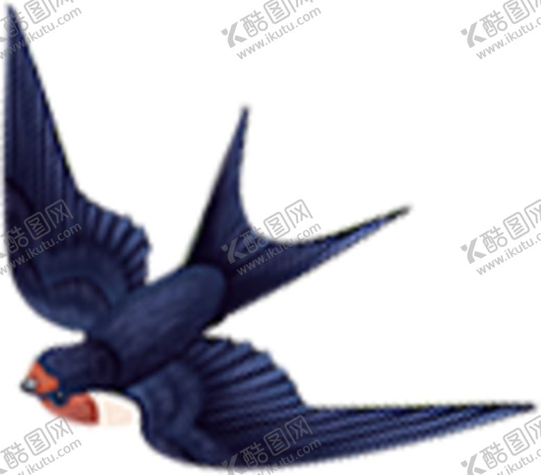 编号：20044909260635491695【酷图网】源文件下载-燕子