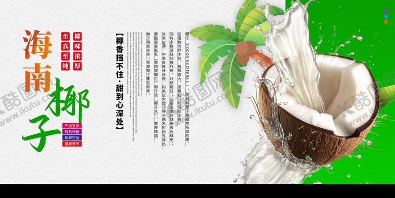 编号：22727010170104193329【酷图网】源文件下载-椰子海报