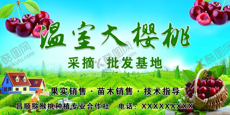 编号：74860507090906102864【酷图网】源文件下载-温室大樱桃