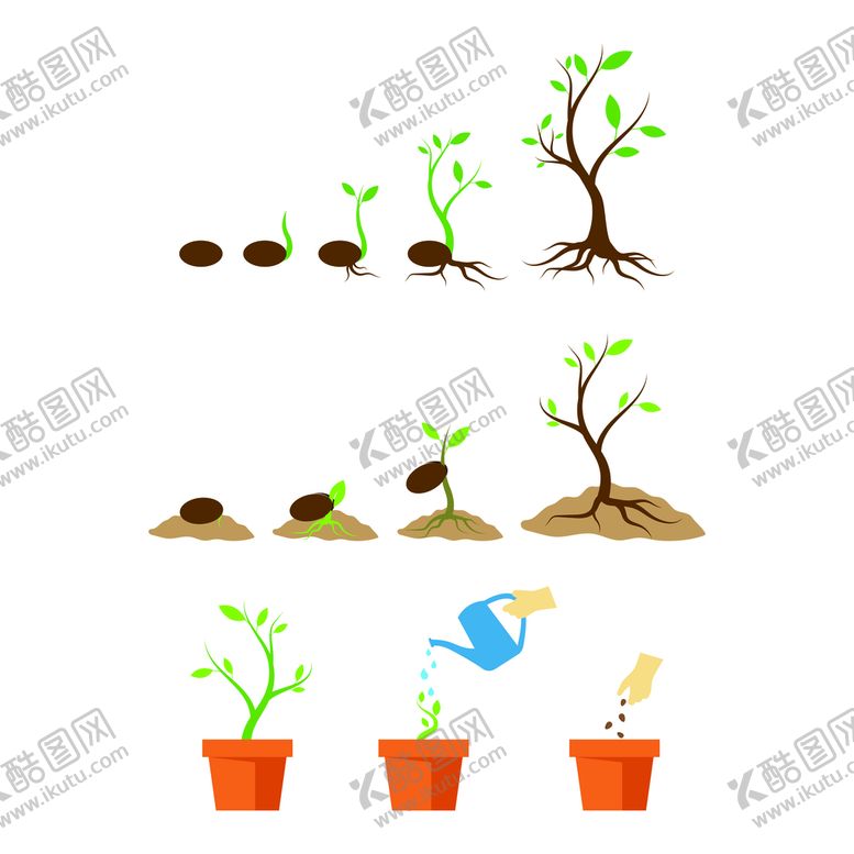 编号：96145709281914027185【酷图网】源文件下载-植物种子发芽成熟生长矢量图