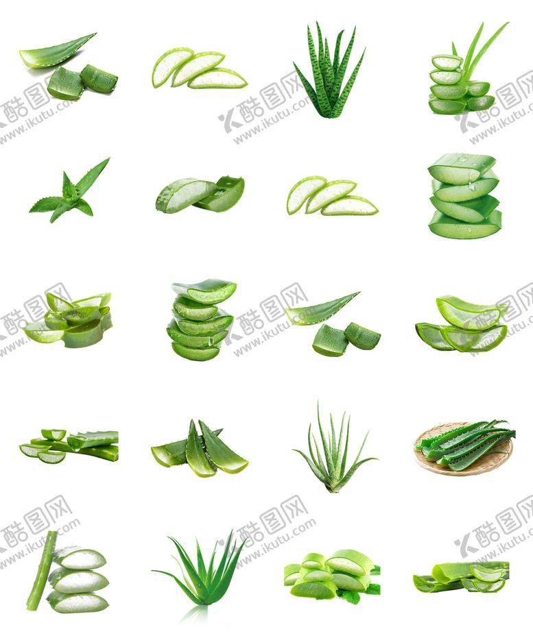 编号：90871209292237560583【酷图网】源文件下载-芦荟png