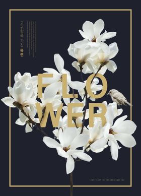鲜花海报