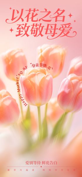 母亲节节日宣传海报