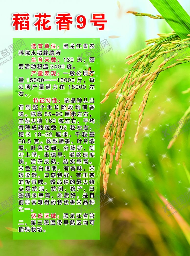 编号：59575310191949403294【酷图网】源文件下载-水稻海报宣传单