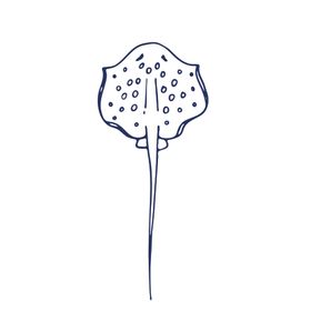手绘海洋生物