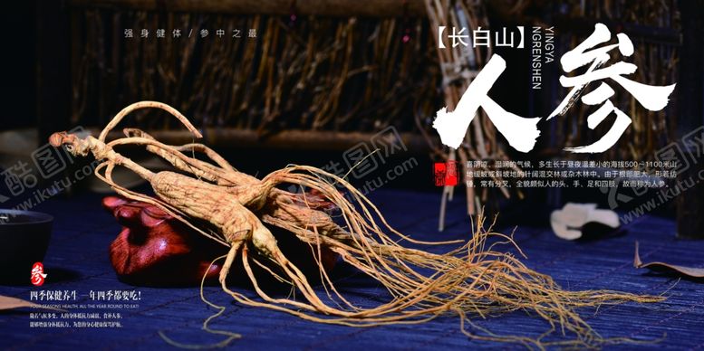 编号：68740507141721315620【酷图网】源文件下载-人参