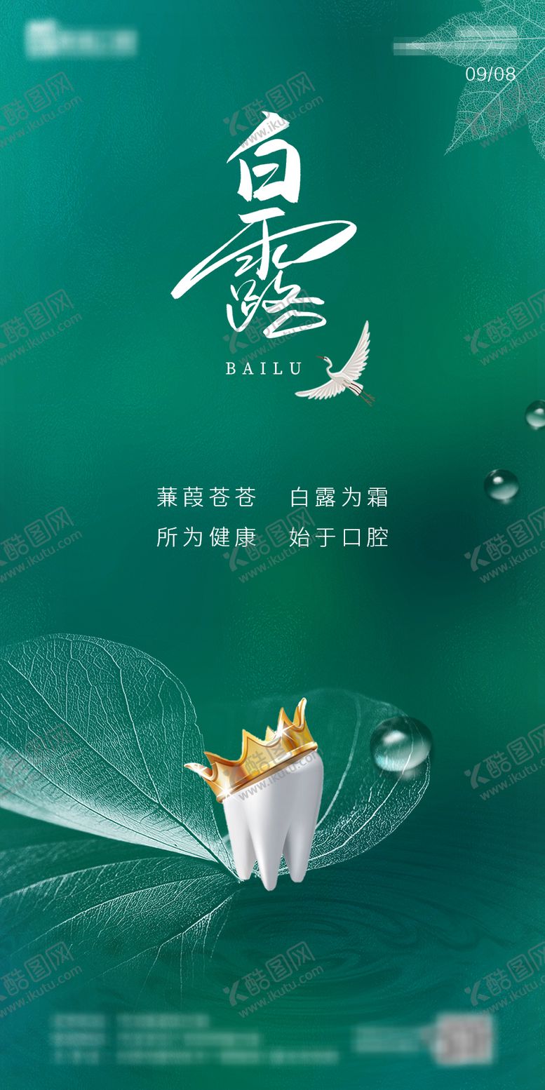 编号：12327608281632133495【酷图网】源文件下载-白露节气海报