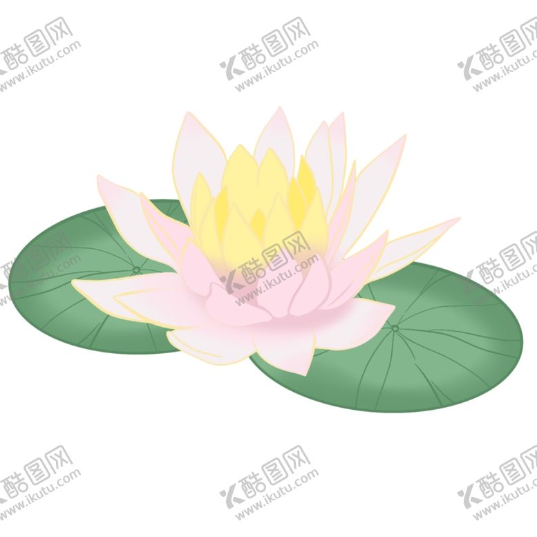 编号：61394305020755005810【酷图网】源文件下载-荷花