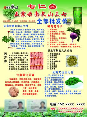 云南三七名片