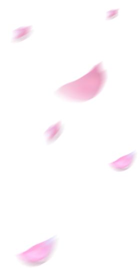 花瓣