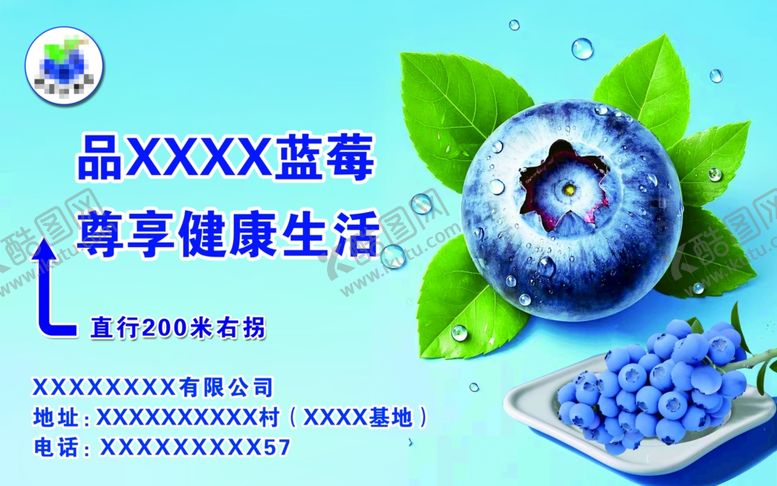 编号：57175902272148588897【酷图网】源文件下载-蓝莓