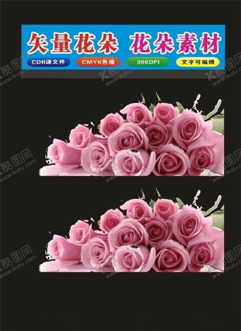 编号：24753409110843006685【酷图网】源文件下载-花卉玫瑰花