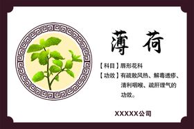 薄荷主治薄荷功效