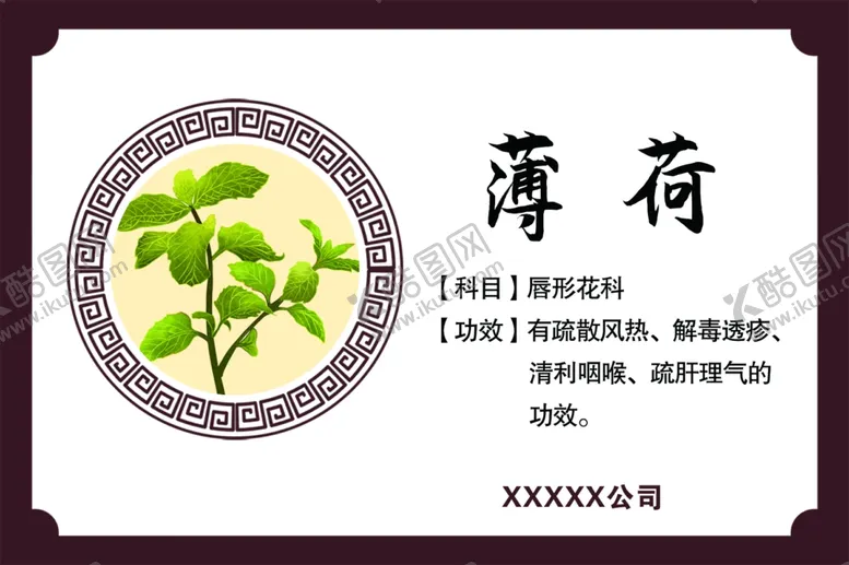编号：37914007030600266981【酷图网】源文件下载-薄荷主治薄荷功效