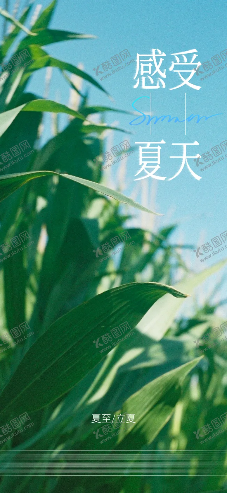 编号：18790710240859396286【酷图网】源文件下载-立夏夏至海报