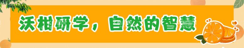 编号：24615902210751186075【酷图网】源文件下载-沃柑研学横幅标语