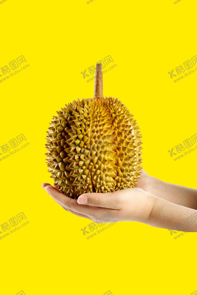 编号：78725203062256049070【酷图网】源文件下载-榴莲