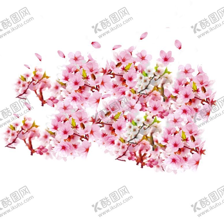 编号：79104412150856389913【酷图网】源文件下载-花卉 