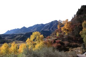 山峰森林山顶自然风光素材