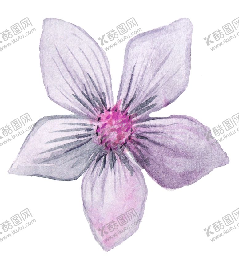 编号：78998407010727287043【酷图网】源文件下载-彩绘植物
