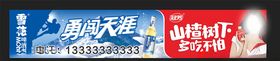 雪花啤酒山楂树下